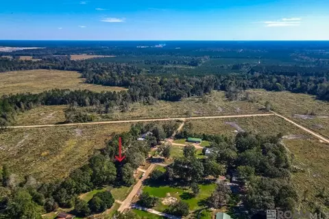 Other - 14381 Pine Park Dr, Walker, LA 70785 photo 6 of 7