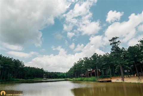 246 Stone Pine Ln, Broken Bow, OK 74728 photo 36