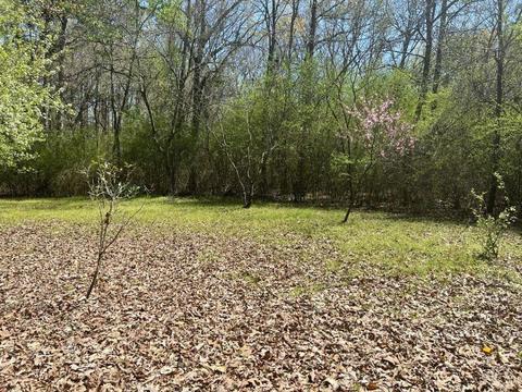 300 N Currence Rd, Broken Bow, OK 74728 photo 4