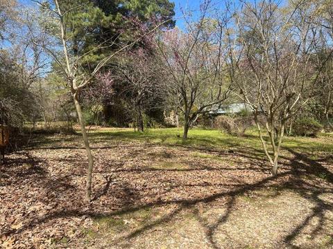 300 N Currence Rd, Broken Bow, OK 74728 photo 5