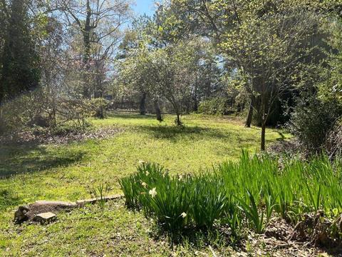 300 N Currence Rd, Broken Bow, OK 74728 photo 10