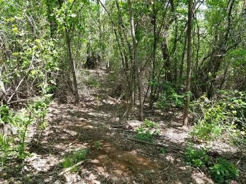 2801 County Road 1247, Tuttle, OK 73089 photo 14