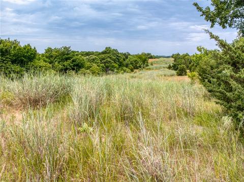 Avoca Road, Asher, OK 74826 photo 4