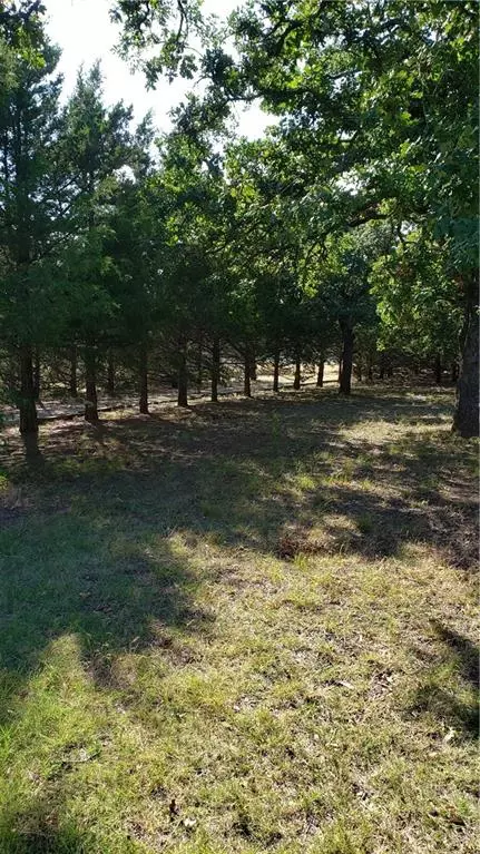 101 Red Tail Ln, Mcloud, OK 74851 photo 3