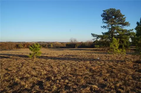 00 60 Acres Mol, Wayne, OK 73095 photo 17