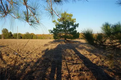 00 60 Acres Mol, Wayne, OK 73095 photo 12