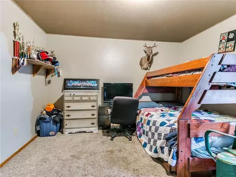 101 Tracye Dr, Mcloud, OK 74851 photo 20