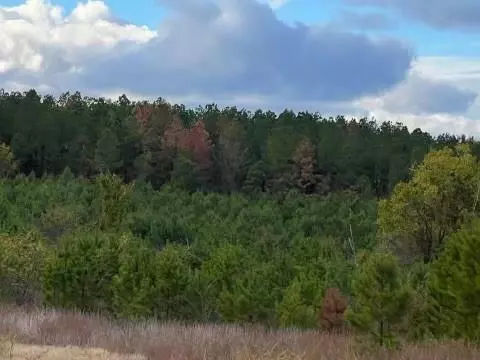 hidden pines loop, Broken Bow, OK 74728