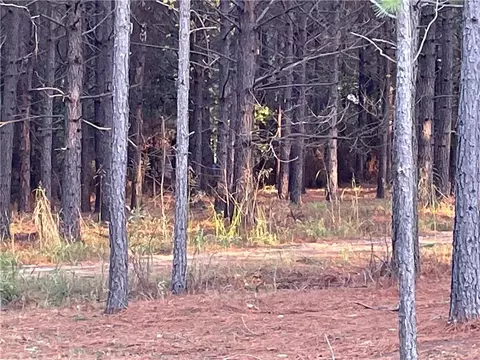 104 Tigerfish Loop, Broken Bow, OK 74728 photo 6