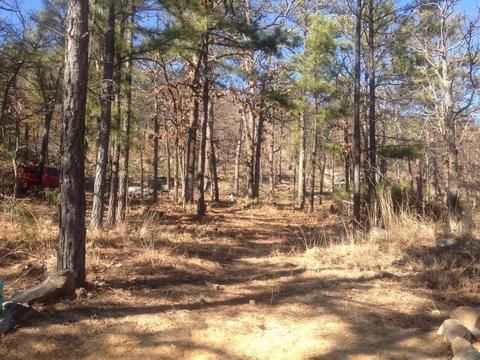 Wagonwheel Road, Daisy, OK 74540