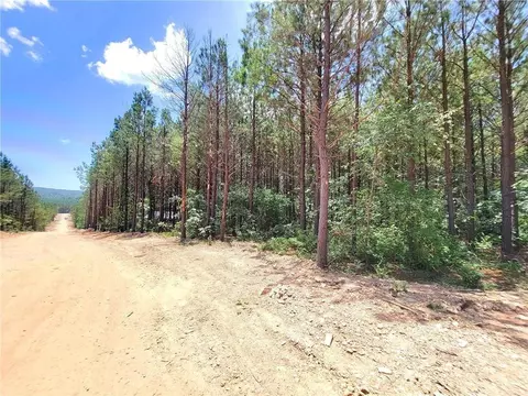 61 Bear Cedar Trl, Broken Bow, OK 74728 photo 4