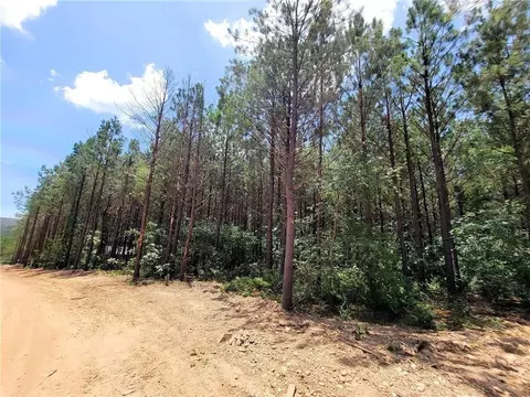 61 Bear Cedar Trl, Broken Bow, OK 74728 photo 8