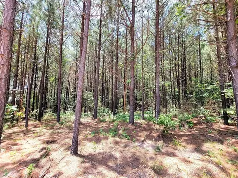 61 Bear Cedar Trl, Broken Bow, OK 74728 photo 9