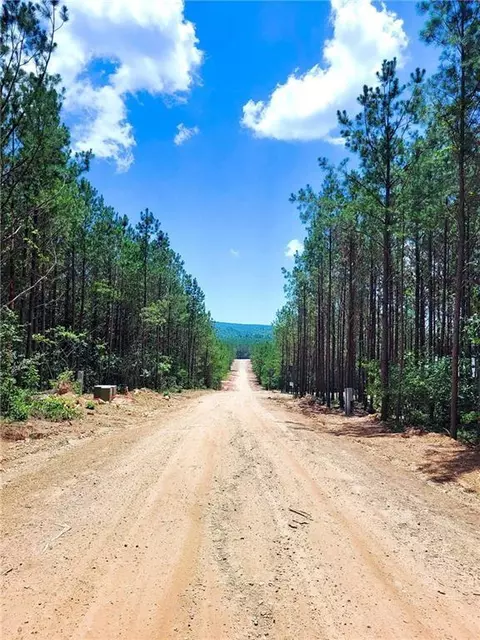 61 Bear Cedar Trl, Broken Bow, OK 74728 photo 5