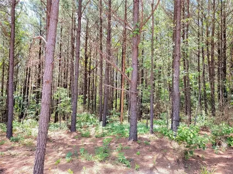 61 Bear Cedar Trl, Broken Bow, OK 74728 photo 10