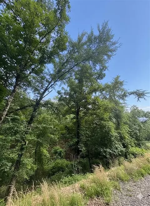 132 Western Cedar Trl, Broken Bow, OK 74728