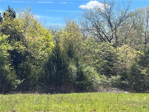 Cade Drive, Ada, OK 74820 photo 3