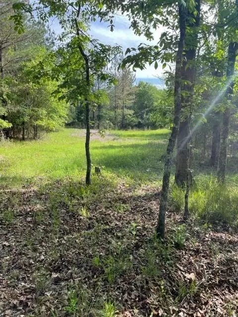 9 Hickory Hls, Broken Bow, OK 74728