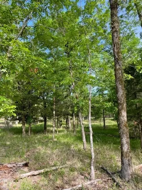 9 Hickory Hls, Broken Bow, OK 74728 photo 2
