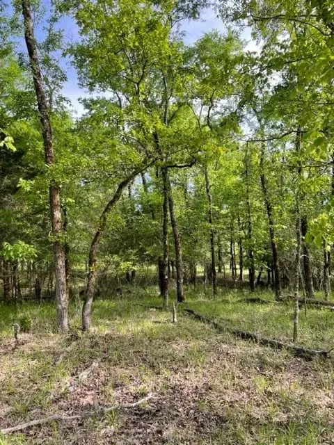 9 Hickory Hls, Broken Bow, OK 74728 photo 3
