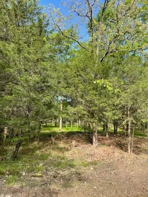 9 Hickory Hls, Broken Bow, OK 74728 photo 4