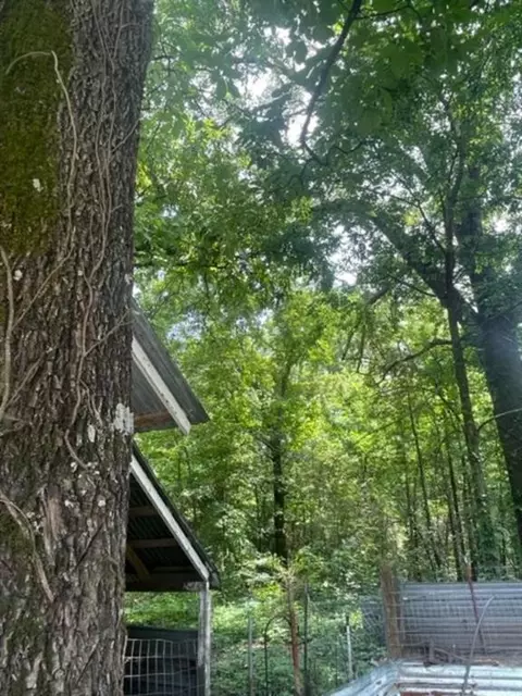 236 Spirea, Broken Bow, OK 74728 photo 29