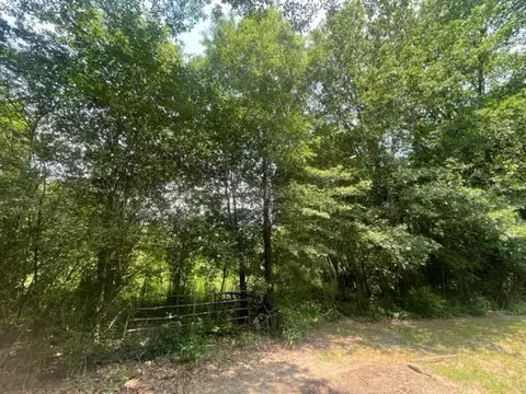 236 Spirea, Broken Bow, OK 74728 photo 34