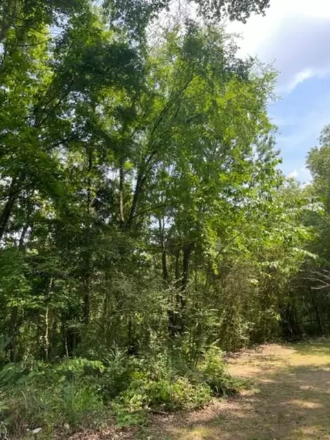 236 Spirea, Broken Bow, OK 74728 photo 35