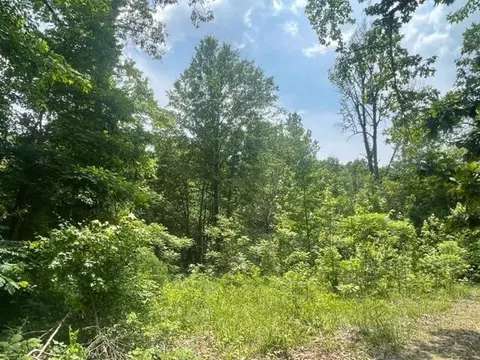 236 Spirea, Broken Bow, OK 74728 photo 33