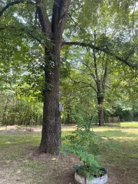 236 Spirea, Broken Bow, OK 74728 photo 21