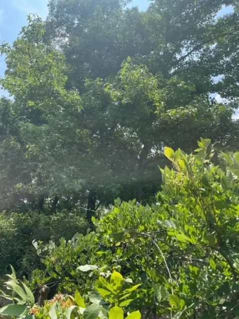 236 Spirea, Broken Bow, OK 74728 photo 31
