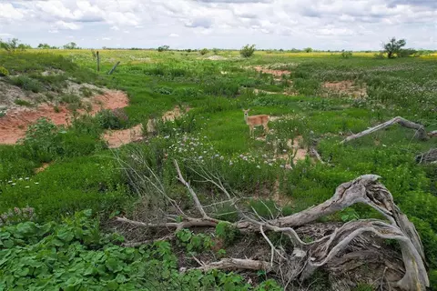 E County Road 1380 Road, Willow, OK 73673 photo 37