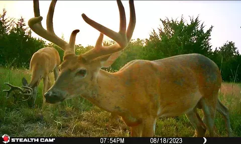 14700 E0840 E Seward Rd, Meridian, OK 73058 photo 12