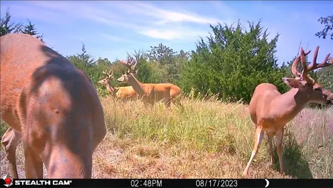 14700 E0840 E Seward Rd, Meridian, OK 73058 photo 11