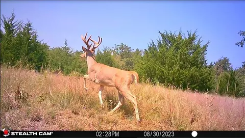 14700 E0840 E Seward Rd, Meridian, OK 73058 photo 10