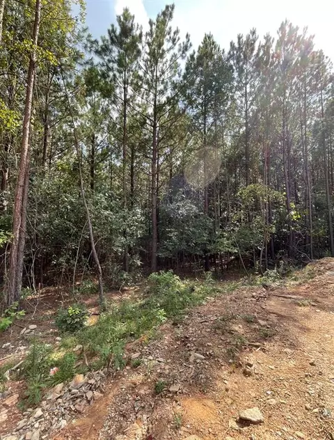 383 Bear Pine Trl, Broken Bow, OK 74728 photo 4
