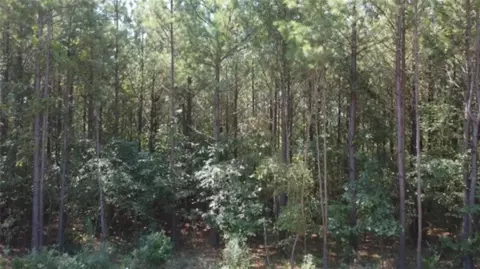 383 Bear Pine Trl, Broken Bow, OK 74728 photo 5