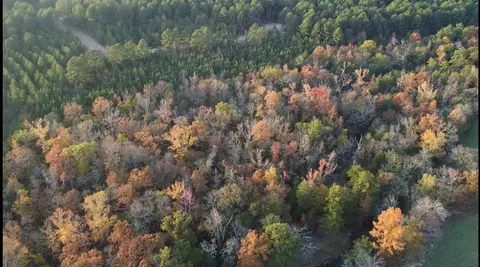 40 Walker Lndg, Broken Bow, OK 74728 photo 3