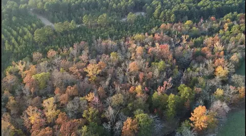 48 Walker Lndg, Broken Bow, OK 47428 photo 3