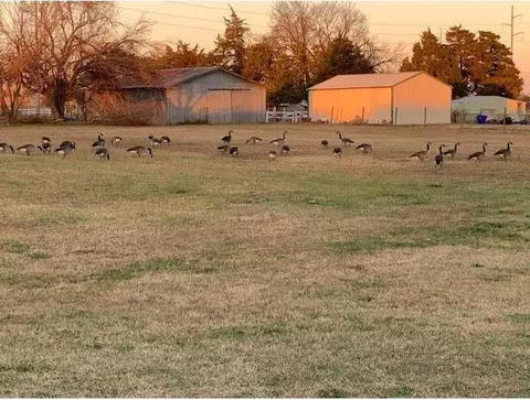 5835 Spring Mill Rd, Norman, OK 73069 photo 35