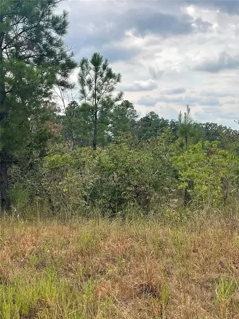 Horned Owl Road, Valliant, OK 74764