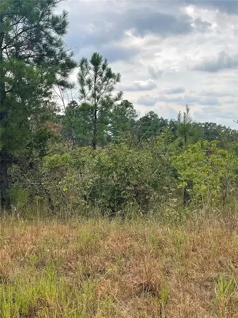 horned owl road, Valliant, OK 74764