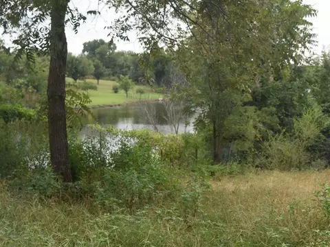 220 Cimarron Rd, Crescent, OK 73028 photo 39