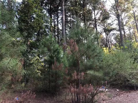 Dewberry Circle, Broken Bow, OK 74728 photo 6