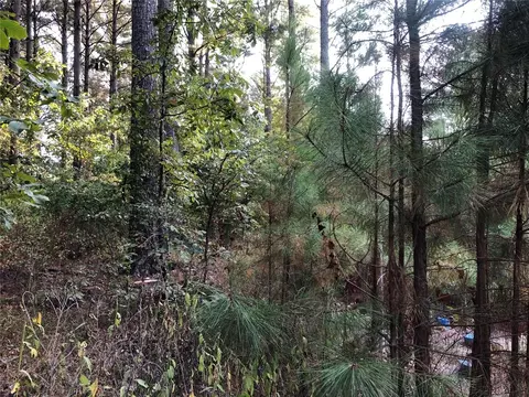 Dewberry Circle, Broken Bow, OK 74728 photo 3