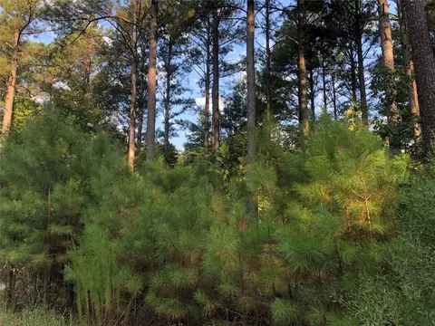 Dewberry Circle, Broken Bow, OK 74728 photo 7