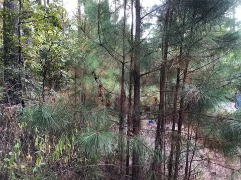 Dewberry Circle, Broken Bow, OK 74728 photo 4