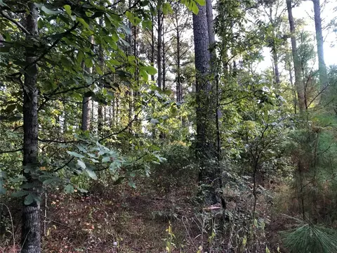 Dewberry Circle, Broken Bow, OK 74728 photo 5