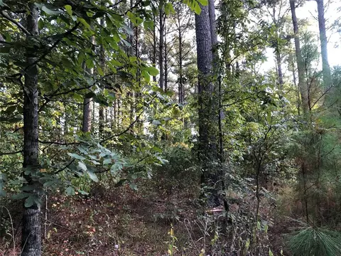 Dewberry Circle, Broken Bow, OK 74728 photo 5