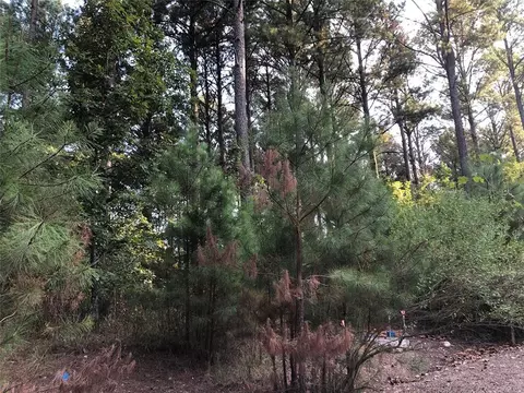 Dewberry Circle, Broken Bow, OK 74728 photo 6